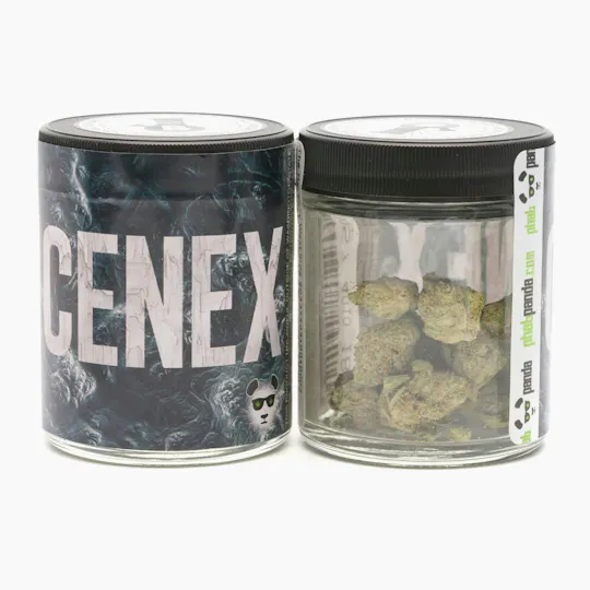 Phat Panda - Phat Panda | Cenex | Big Buds - 1