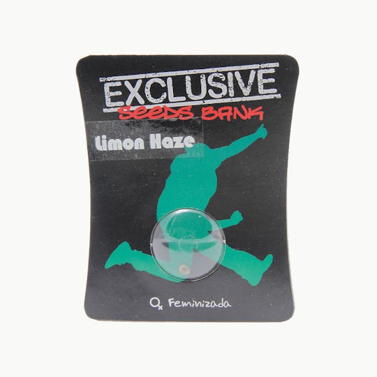 Exclusive Seeds Bank - Limon Haze - 1