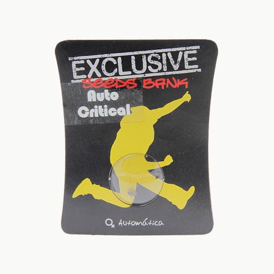 Exclusive Seeds Bank - Auto Critical - 1