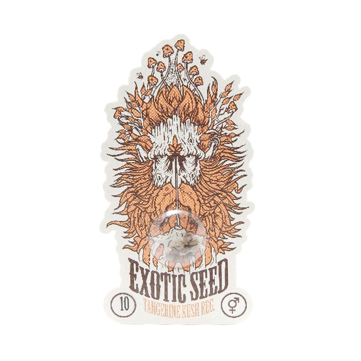 Exotic Seeds - Tangerine Kush - 1