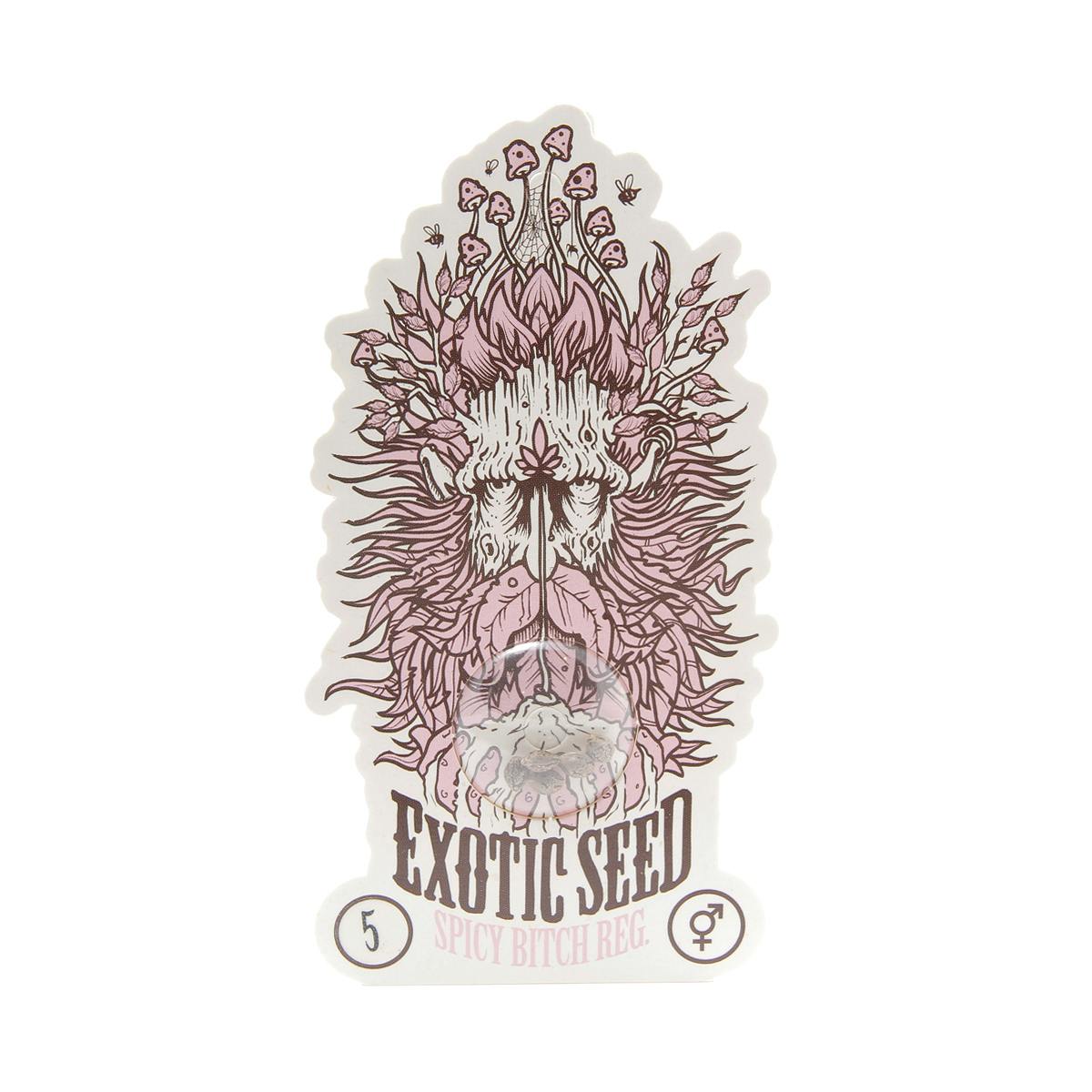 Exotic Seeds - Spicy Bitch - 1