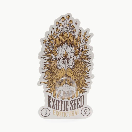 Exotic Seeds - Exotic Thai - 1