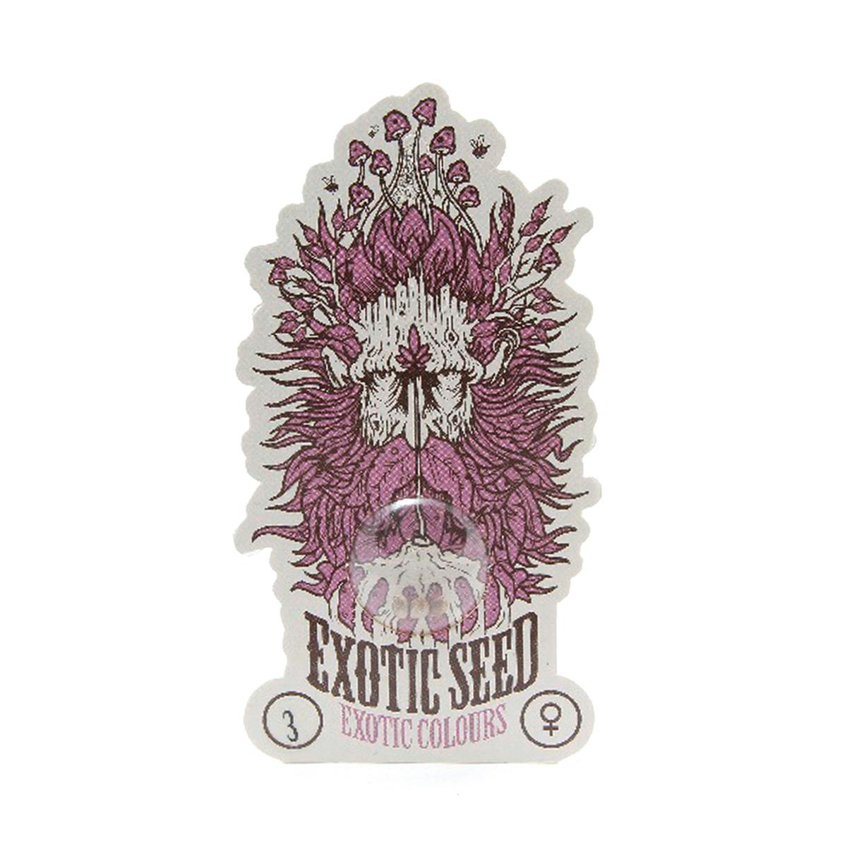 Exotic Seeds - Exotic Colours - 1