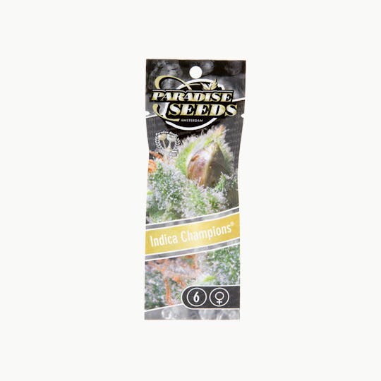 Paradise Seeds - Indica Champions Pack - 1