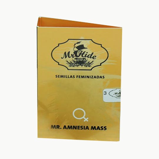 Mr Hide Seeds Bank - Mr. Amnesia Mass - 1