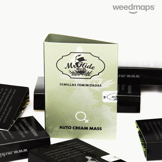 Mr Hide Seeds Bank - Auto Cream Mass - 1