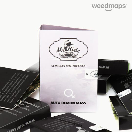 Mr Hide Seeds Bank - Auto Demon Mass - 1