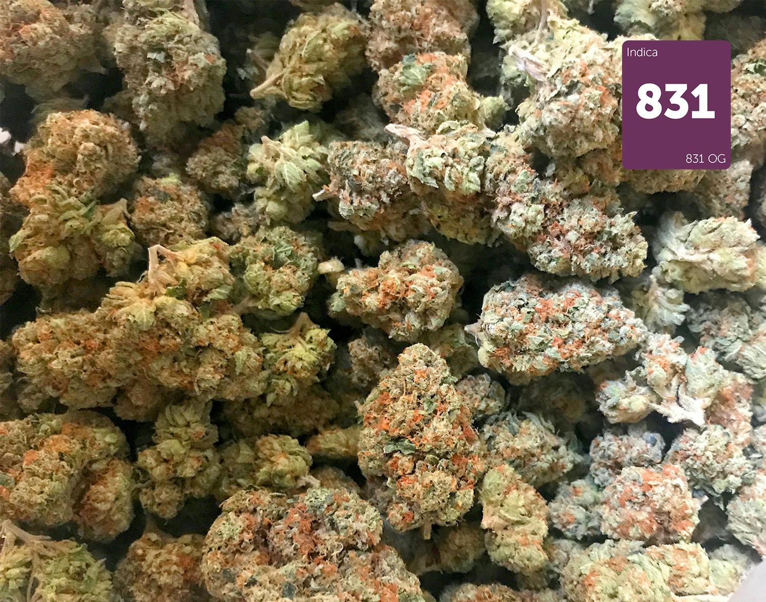 LUV Brands - 831 OG - 1