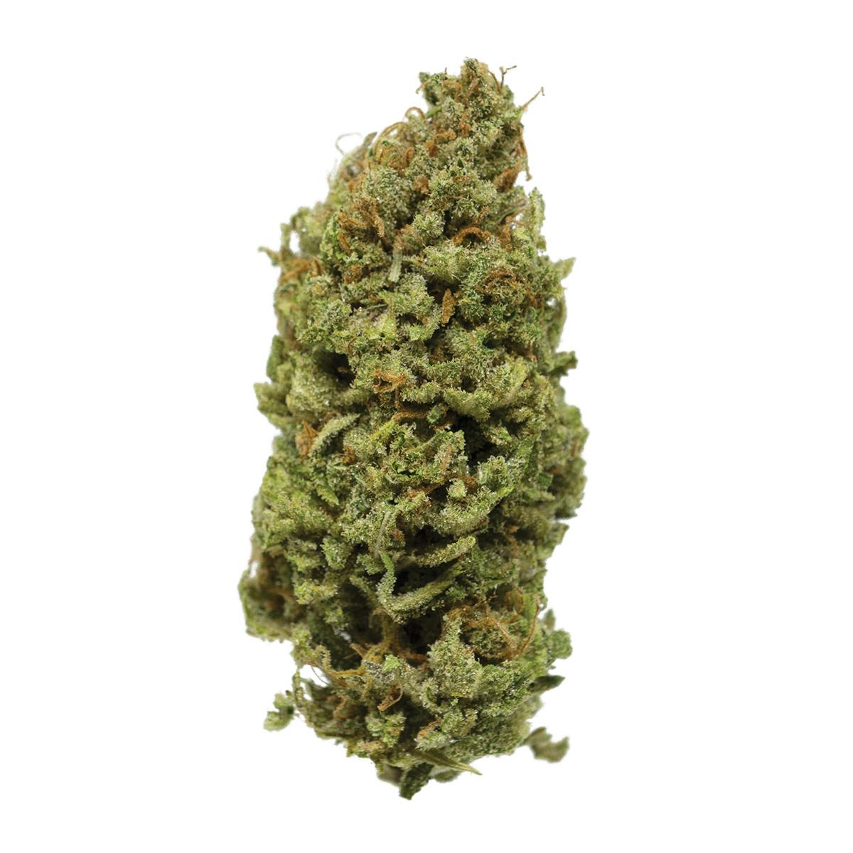 The Joint Venture - Puna Butter - 1