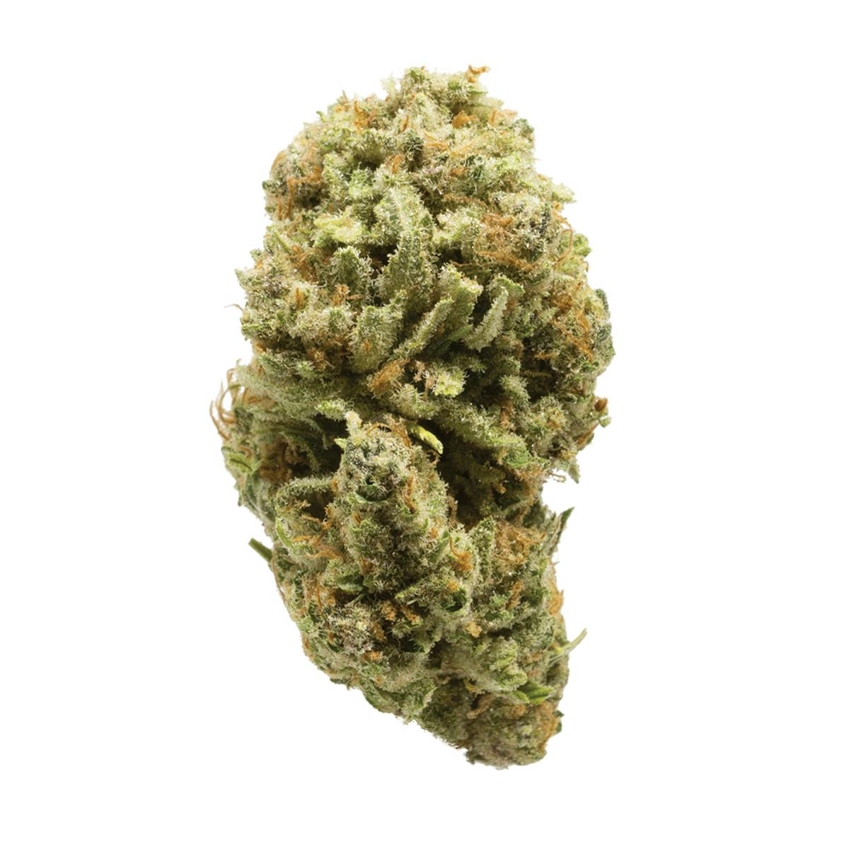 The Joint Venture - Truly Fruity - 1