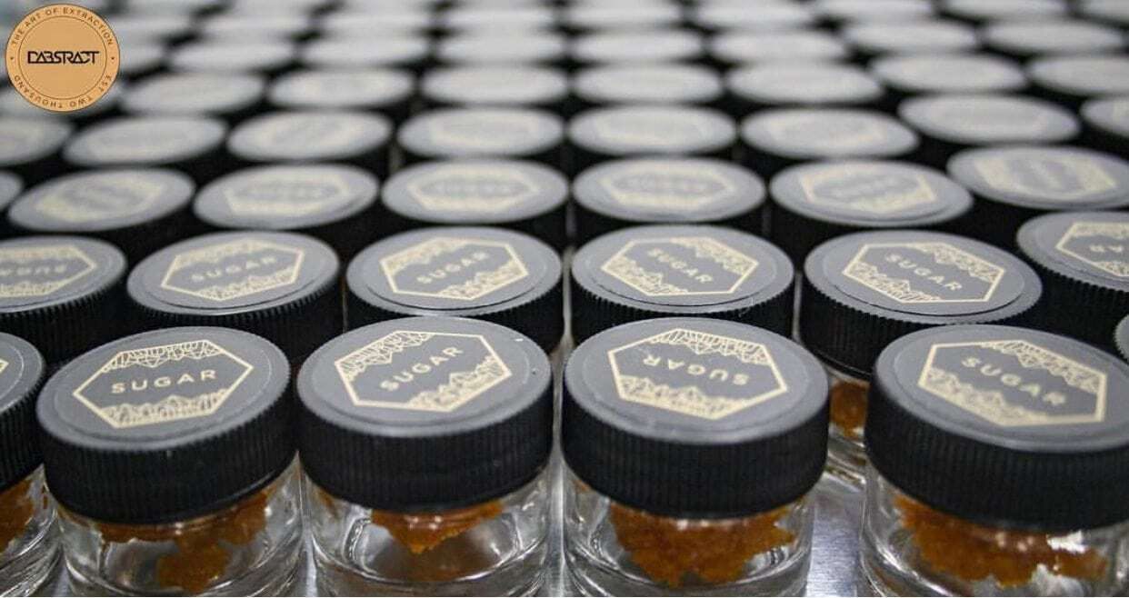 Dabstract - Dabstract | Cheese | Live Sugar | 1g - 1