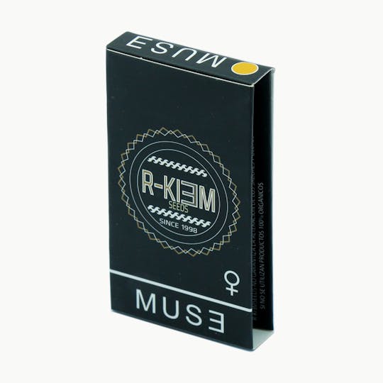 R-KIEM Seeds - MUSE - 1