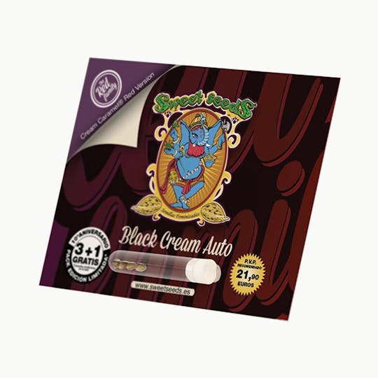 Sweet Seeds - Black Cream Auto - 1