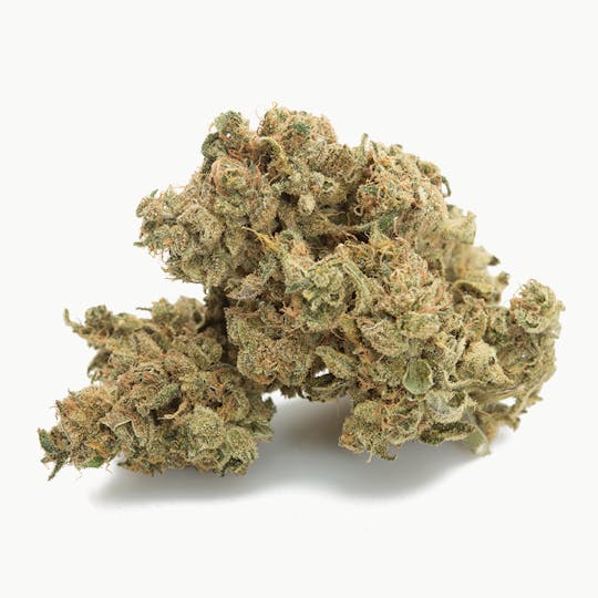 SUBX - Hawaiian Dutch - 1