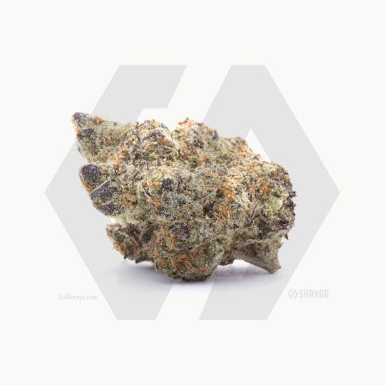 Shango - Cheesecake - 1