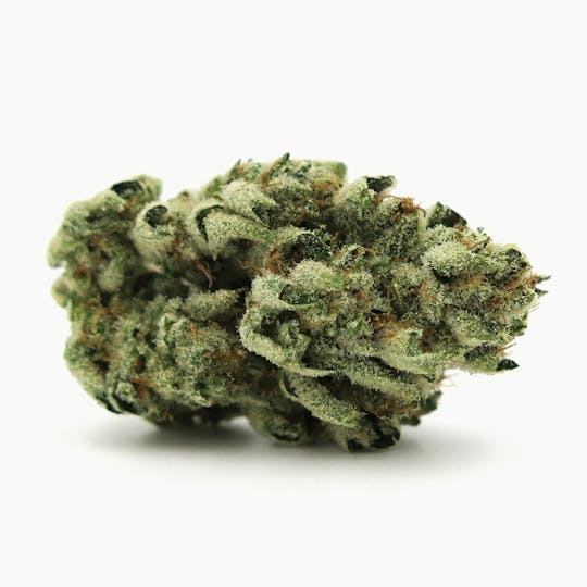 Alternative Medicine Association - Diamond OG - 1