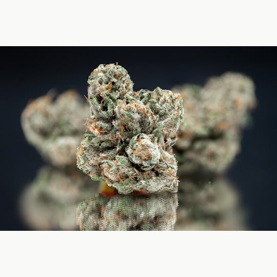 Nameless Genetics - Mega Wellness OG® 3.5g - 1