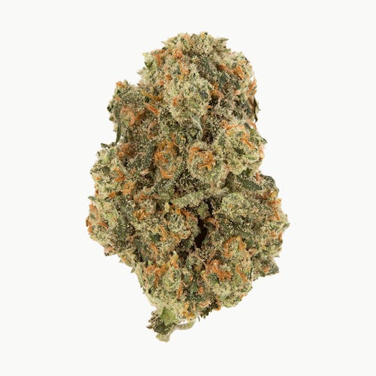 Rebel Spirit - Jack Herer - 1