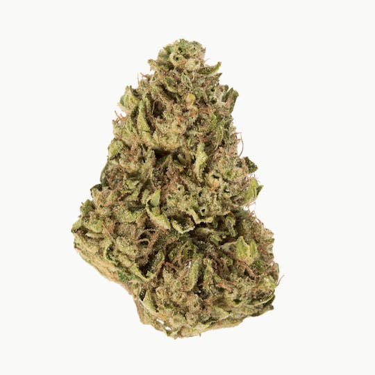 Rebel Spirit - OG Kush - 1