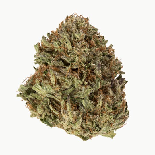 Rebel Spirit - Skywalker Kush - 1