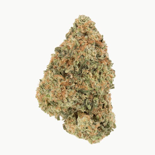 Rebel Spirit - Rebel Berry OG - 1