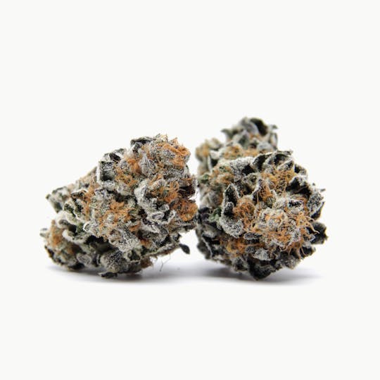 Oregrown - Animal Cookies - 1