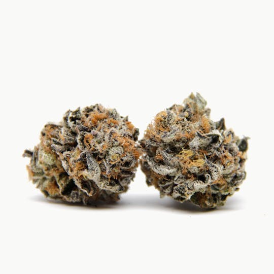 Oregrown - G.S.C - 1