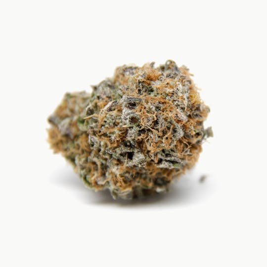 Oregrown - Orange Cookies - 1