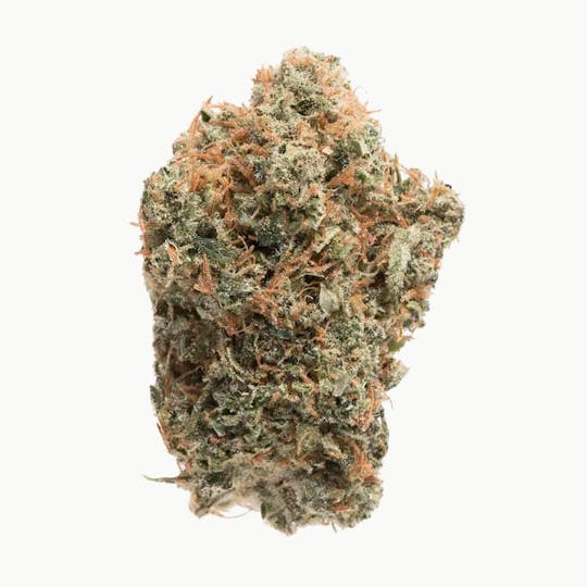 Trichome Farms - Golden Pineapple - 1