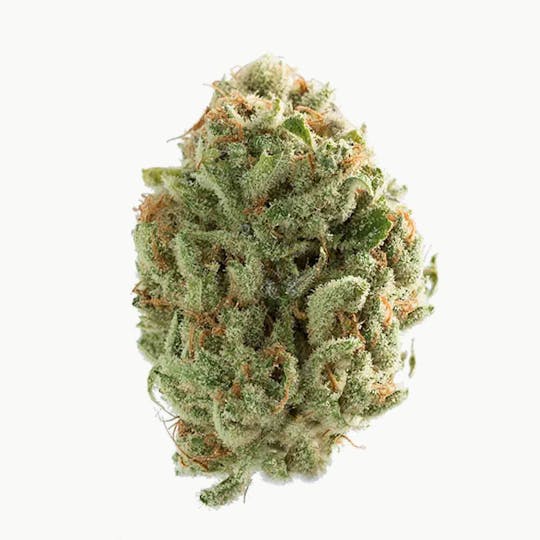 Doc & Yeti Urban Farms - Buffalo Bill - 1
