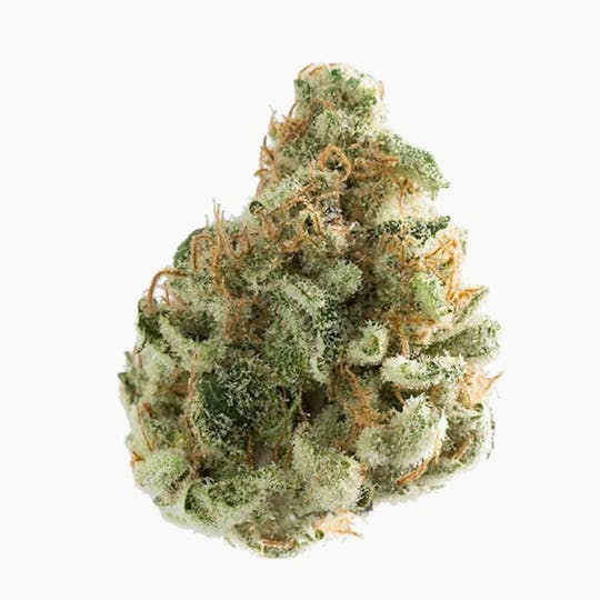 Doc & Yeti Urban Farms - Brandy Wine - 1
