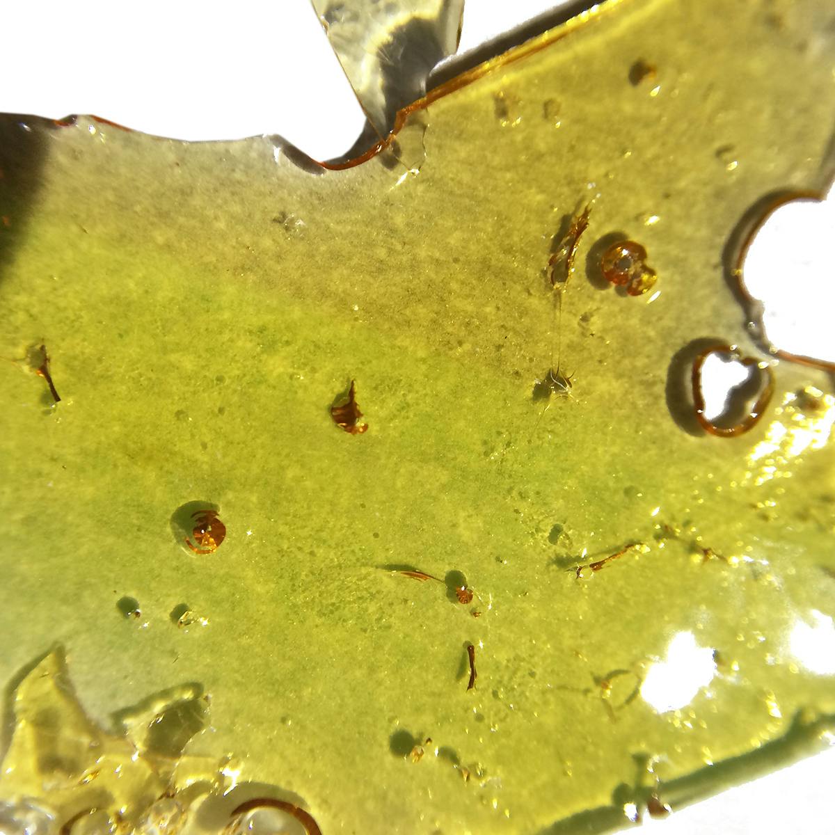 Oregrown - Animal Cookies Shatter - 1