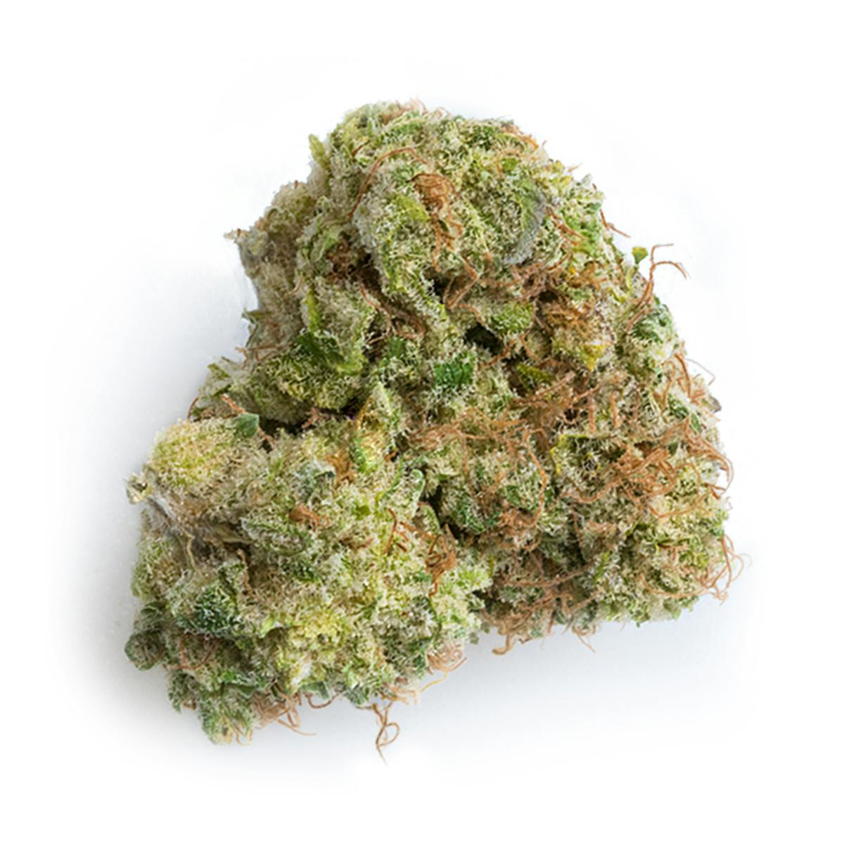 Prūf Cultivar - Agent Orange - 1