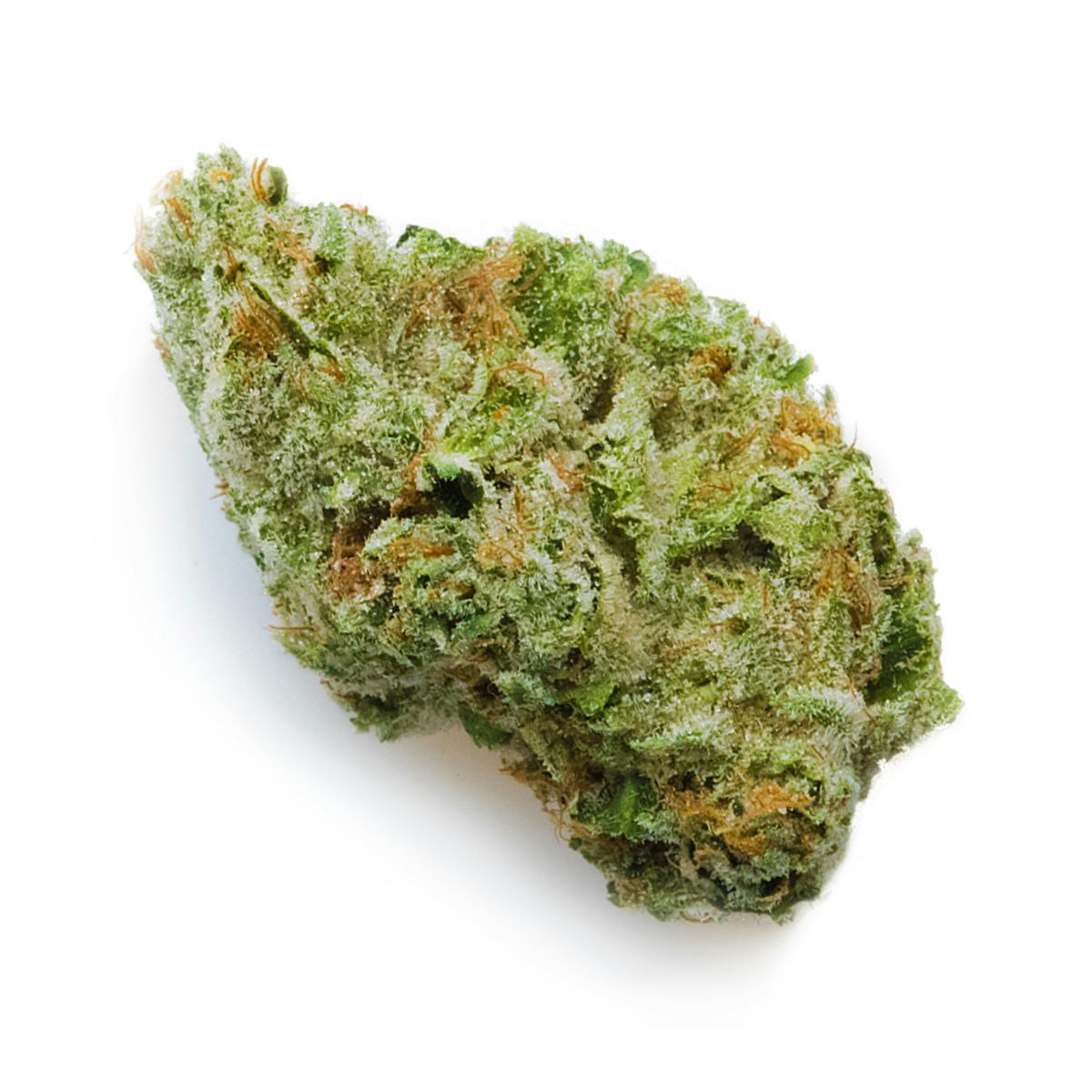 Prūf Cultivar - Banana Cream - 1