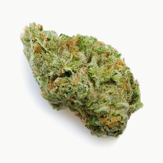 Prūf Cultivar - Banana Cream - 1