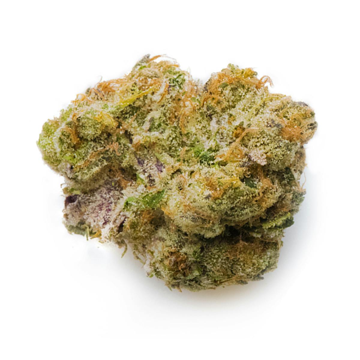 Prūf Cultivar - GSC - 1