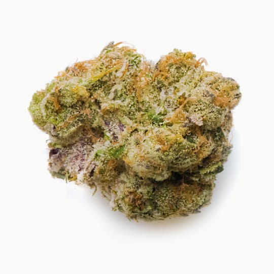 Prūf Cultivar - GSC - 1