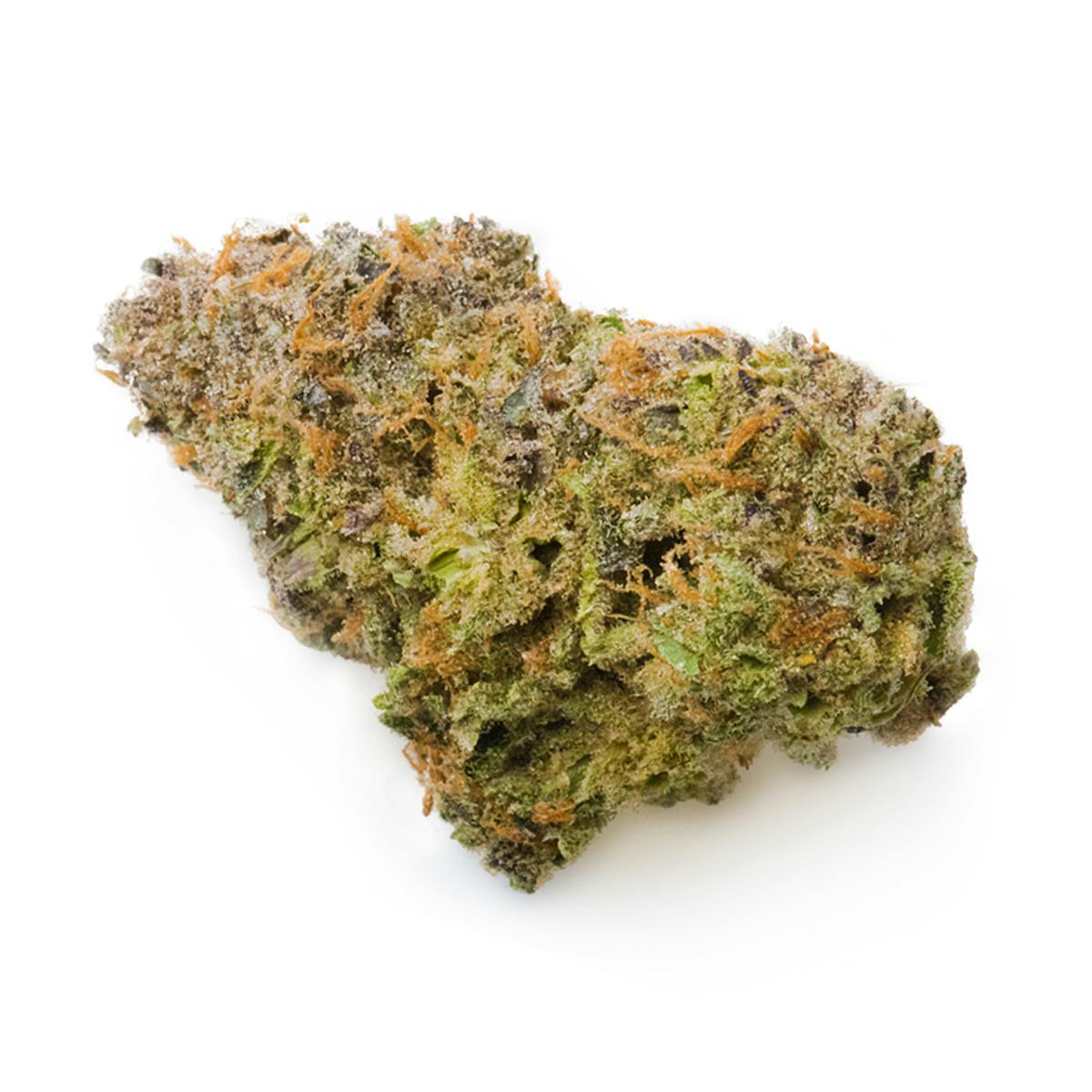 Prūf Cultivar - Key Lime Pie - 1