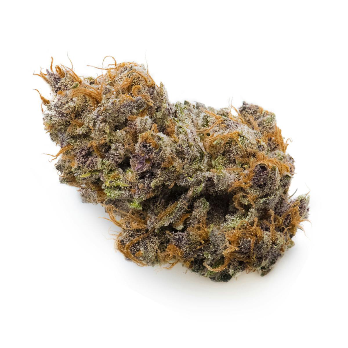 Prūf Cultivar - P92 - 1