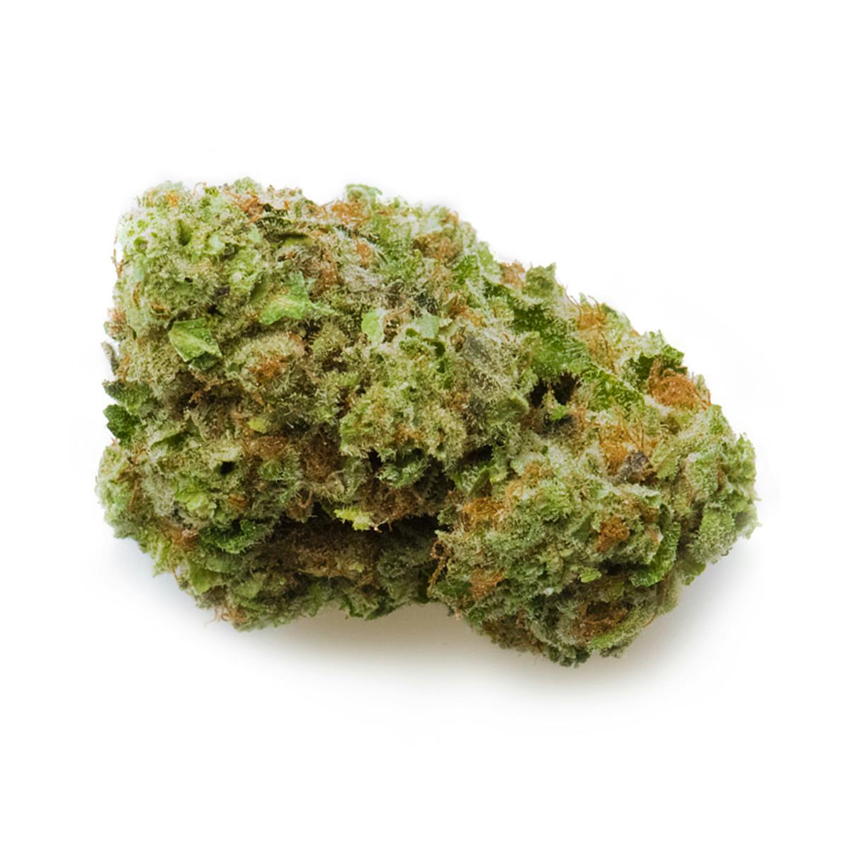Prūf Cultivar - Sherbert - 1