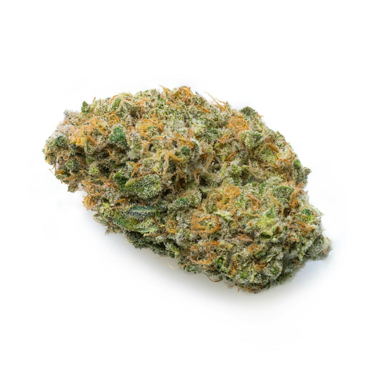 Prūf Cultivar - Permafrost - 1