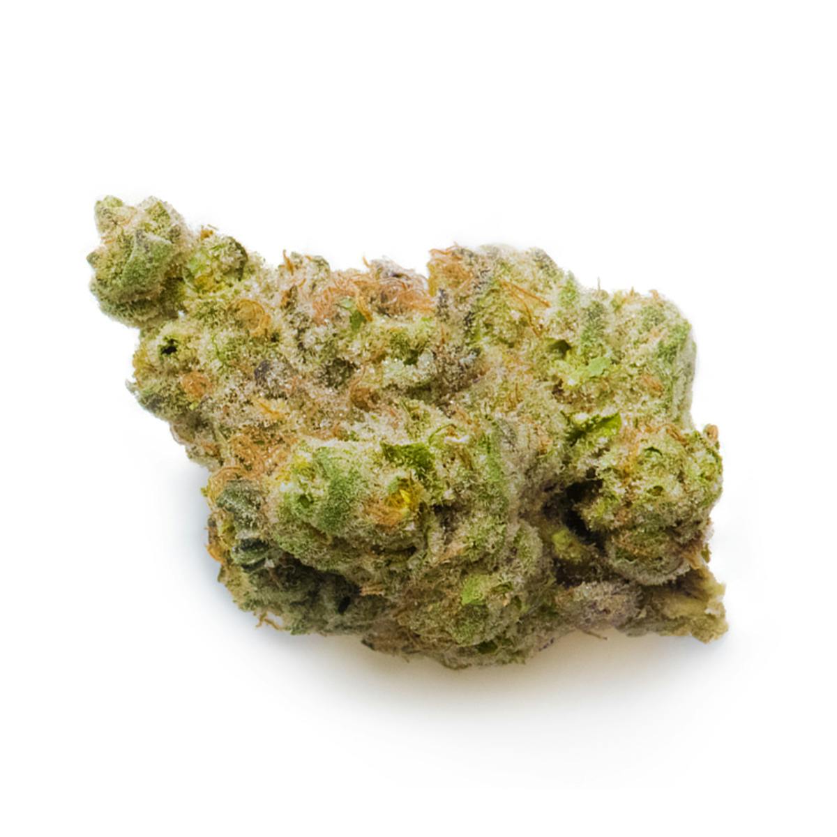 Prūf Cultivar - Smarties - 1