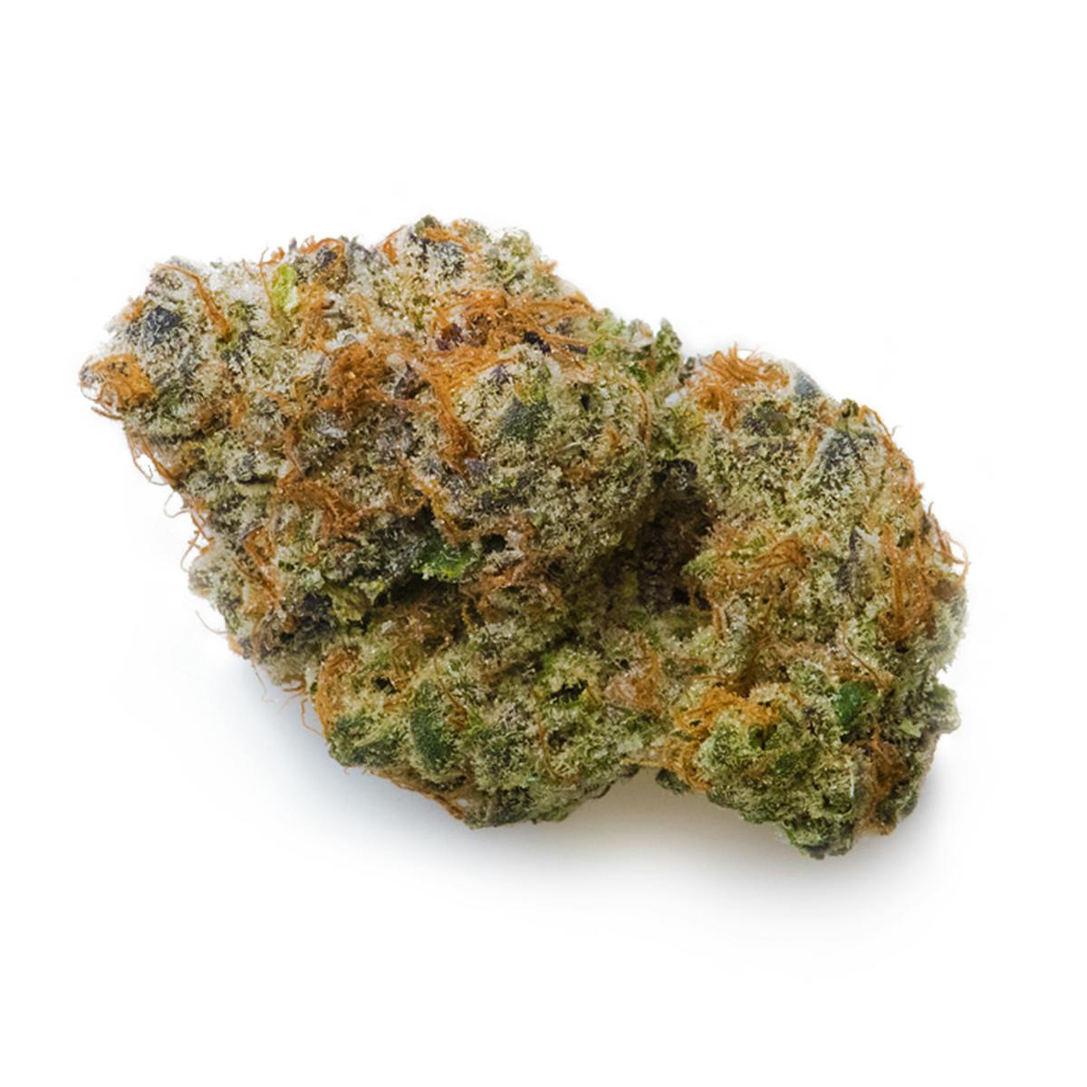 Prūf Cultivar - Tangerine Biscotti - 1