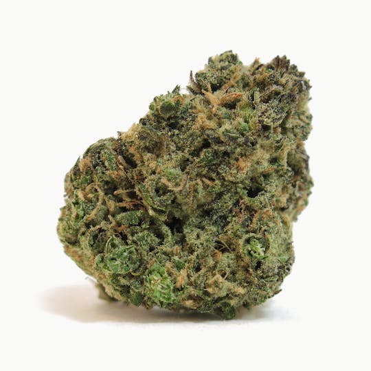 Alternative Medicine Association - Acapulco Gold - 1