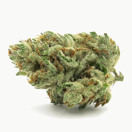 Alternative Medicine Association - Vanilla Kush - 1