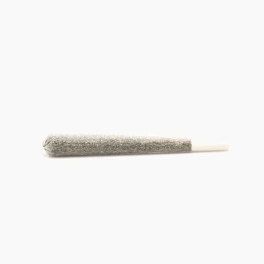 Alternative Medicine Association - Vegas J’s Acapulco Gold Preroll - 1