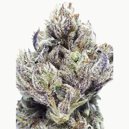KushCompany - Sour Power OG - 1