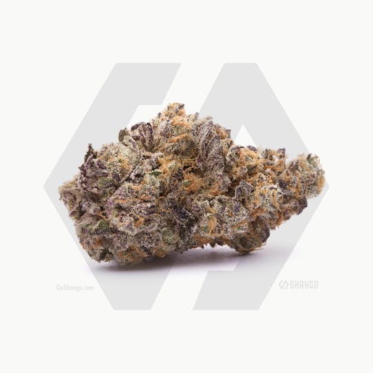Shango - Grape Valley Kush - 1