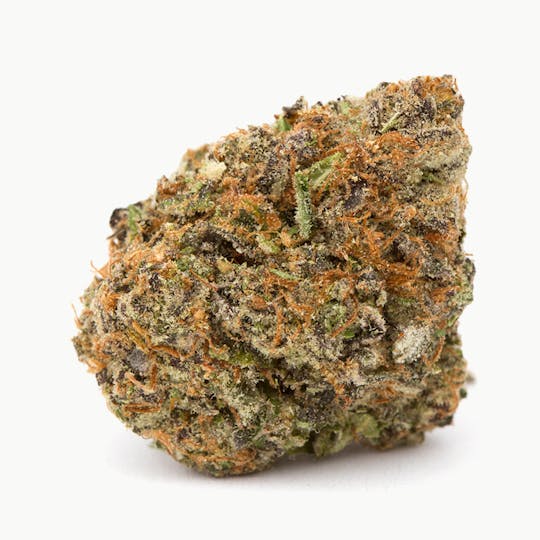 Shango - GSC PR - 1