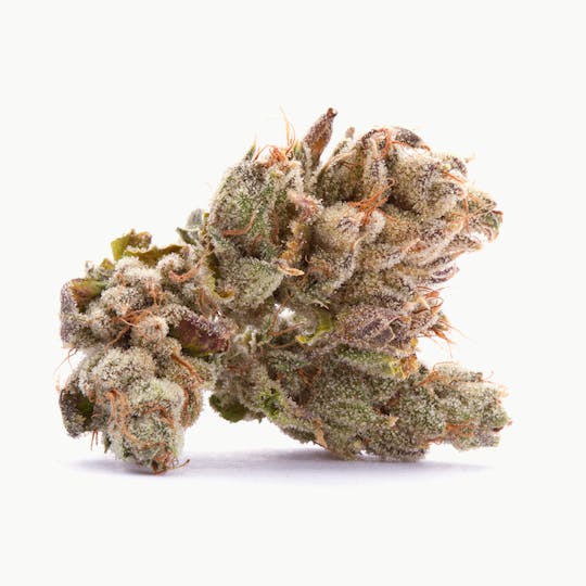 Shango - SFV OG Kush - 1